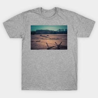 Odd Crops T-Shirt